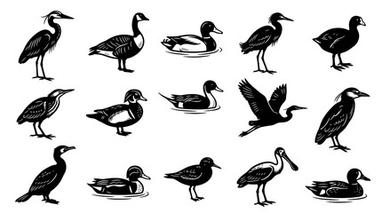 Obraz premium Wildlife Water Birds Collection: Vintage Engraving Style Black and White Silhouettes of Waterfowl and Wading Birds