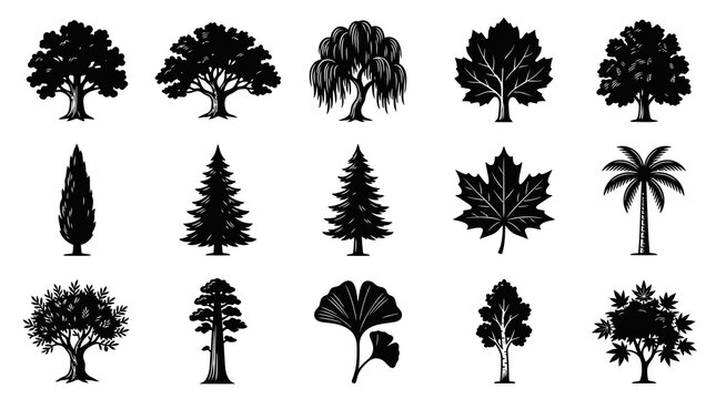 Nature and Environment: Black and White Silhouette Tree and Leaf Glyphs Vector Illustration Set