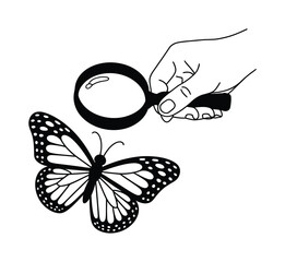 Hand holding magnifying glass over a butterfly © Parvej stock