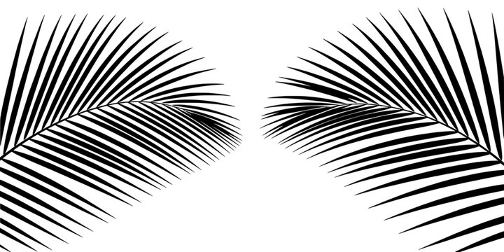 Feather Leaf Line Art Icon with Bold Parallel Hatch Strokes, Symmetrical Mirrored Wings for Minimal Monochrome Design