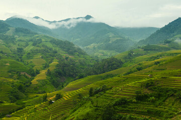 Natural and urban views of Vietnam © anuchit2012