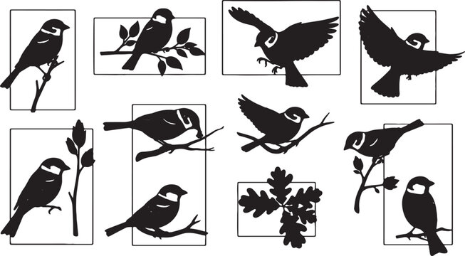 Silhouette collection of birds and songbirds including sparrows and titmice perching on branches and flying, graphic design elements with rectangular frames and oak leaves.