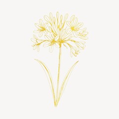 Obraz premium Elegant floral line art illustration.