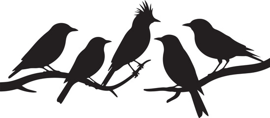 Five birds perched on a branch silhouette © Masud