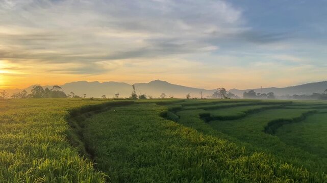 Beautiful sunrise at the rice fields with Mount Cikuray and Papandayan Mountain In Garut West Java