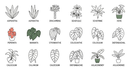 Fototapeta premium Collection of Houseplant Line Art Icons - Botanical Illustrations of Indoor Plants