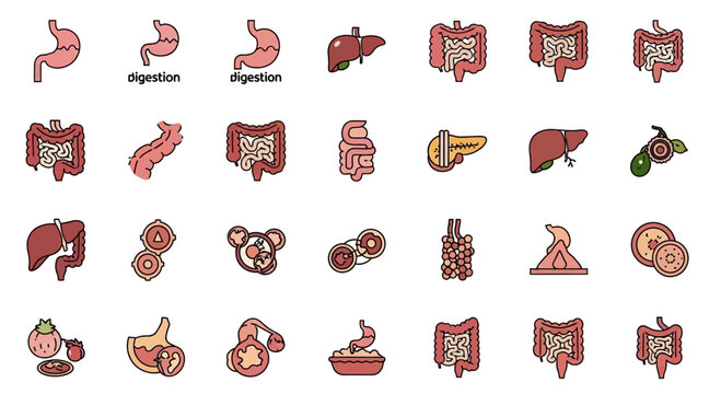 Human Digestive System Organs Icons Set - Stomach, Intestines, Liver, Pancreas, Gallbladder