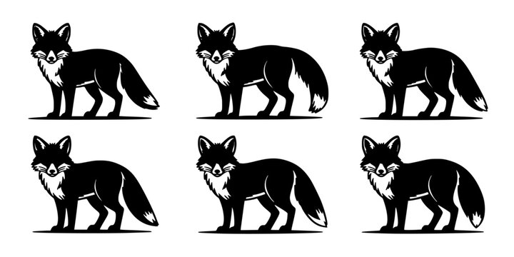 Fox Silhouette Icon Set in Black and White, Vector Style Animal Graphics with Simple Ground Shadow Featuring Monochrome, Wildlife, Mammal