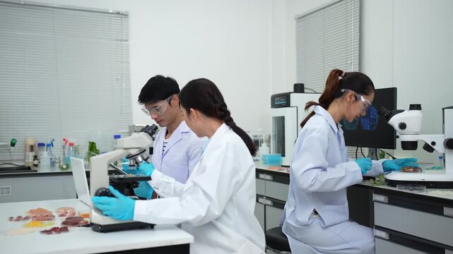 Team Food Safety Scientists Testing Meat Samples in Laboratory for Contamination and Chemical Residue Analysis.