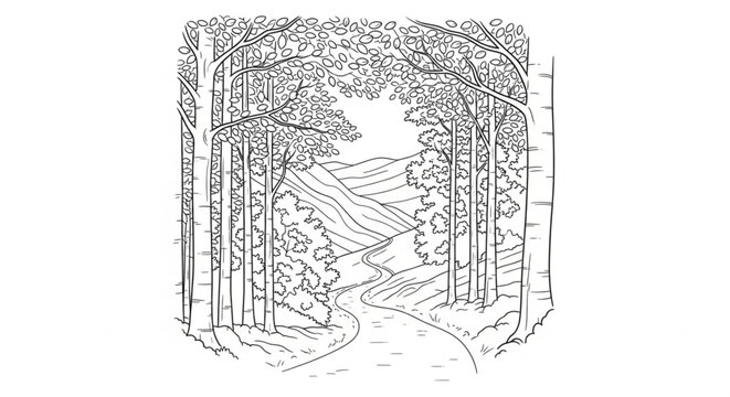 Tree lined pathway through forest landscape.