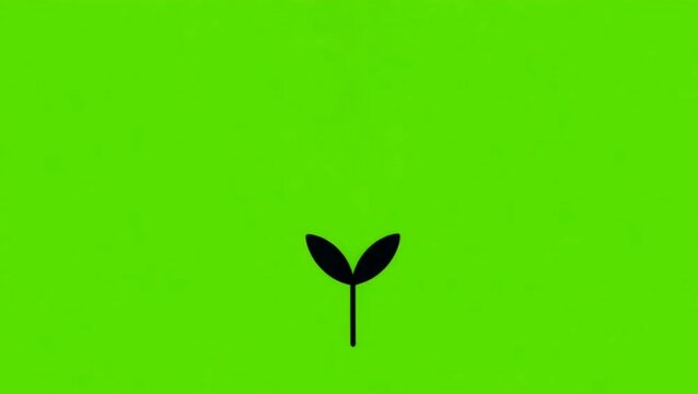 Animated Vector Firefly with Magic Glow Growing a Plant Sprout on a Green Screen, Minimalist 2D Motion Graphic for Ecology and Ideas
