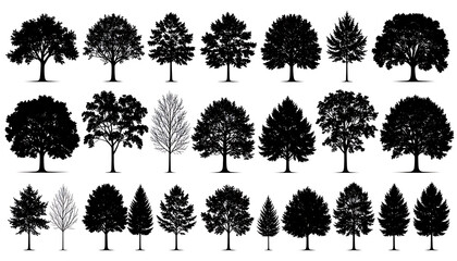 Collection of diverse tree silhouettes, deciduous and coniferous varieties, isolated on a white background, nature elements