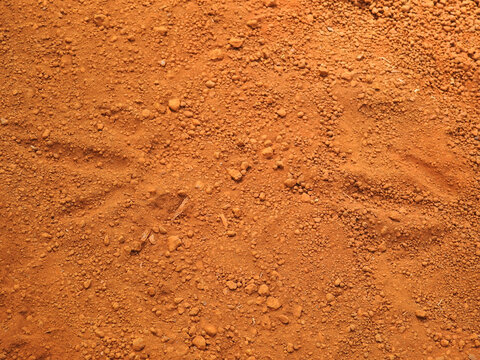 Red laterite soil texture with bird footprints, New Caledonia