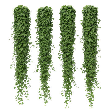 Green moss hanging in vertical lines illustration
