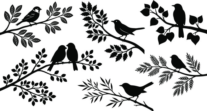 Bird Silhouettes on Tree Branches Vector Set