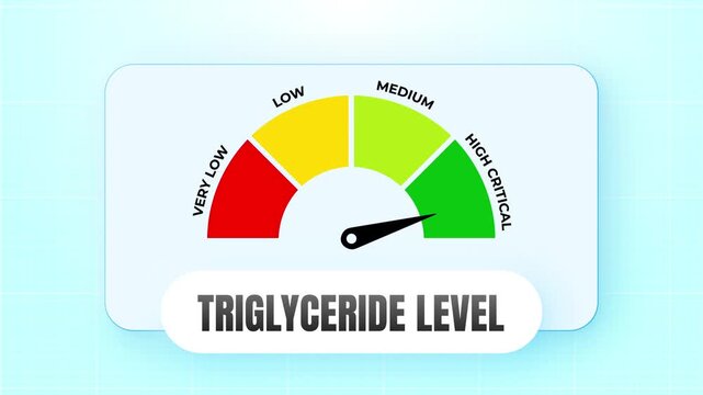 Triglyceride Level Medical Gauge Animation Tracking Blood Lipid and Metabolic Health Status, 4k video