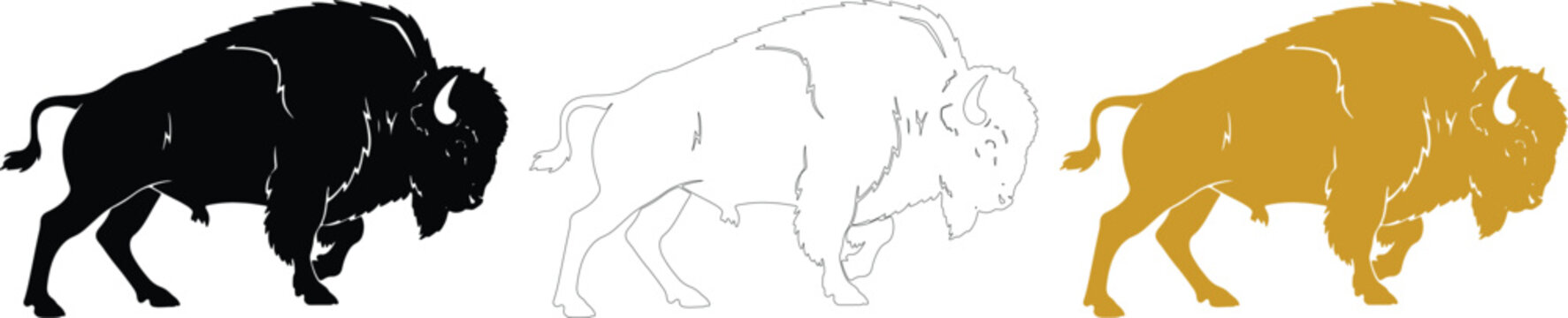 American bison buffalo vector icon set with black silhouette, line art, transparent background