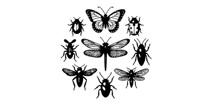 Insects in Various Styles and Designs, Including Butterflies, Beetles, and Flies, Depicted in Black and White