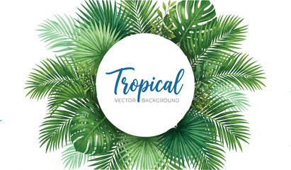 Elegant circular tropical frame design featuring fresh green monstera leaves and typography text layout © Nusrat