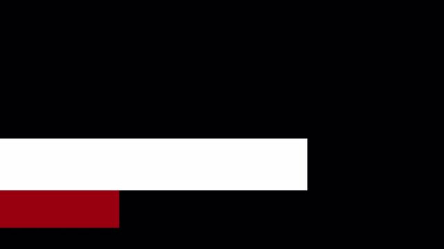 Minimal animated lower third animation with sliding red accent and clean white bar, isolated on transparent background for modern broadcast and corporate video projects in 4K with Alpha Channel