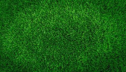 Obraz premium Fresh Green Grass Lawn Texture Background