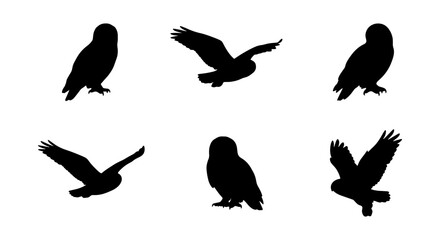 Obraz premium Set of Six Owl Silhouettes, Nocturnal Bird Icons, Flying and Perched Wildlife Graphics, Vector Art for Nature and Animal Designs