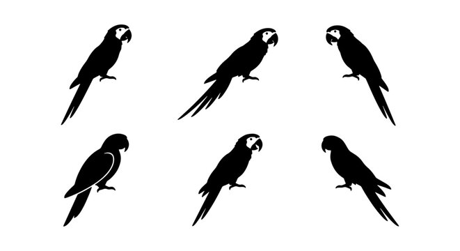 Six Silhouette Macaw Parrots, Tropical Bird Vector Icons, Exotic Avian Wildlife Graphics