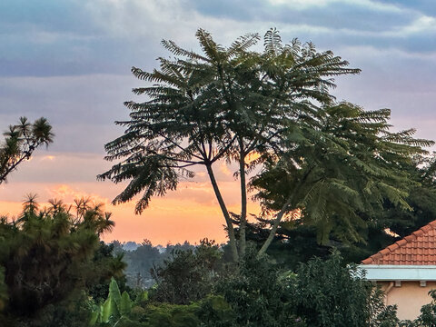 Sunset from a Room Window at the San Cristobal Hotel in Antananarivo, Madagascar