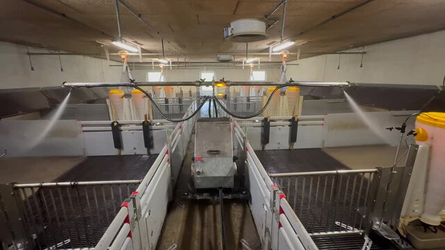 Automated washing robot cleaning pig farm enclosure