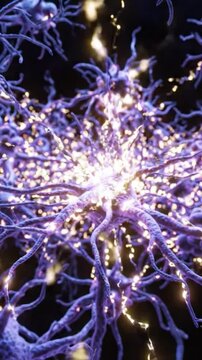 A Detailed Exploration of Neurons: Close-Up Views of Complex Neural Networks Illuminating the Intricacies of Brain Function and Structure