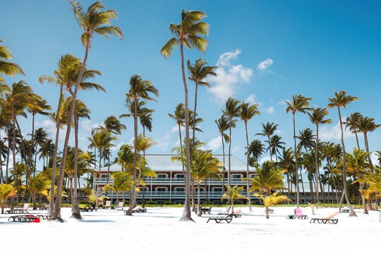 Luxury tropical resort hotel on a white sand beach surrounded by tall palm trees