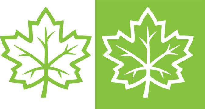 Green Maple Leaf Outline Icon Vector, Modern Minimalist Botanical Platanus Foliage Symbol Set, Clean Eco Friendly Line Art for Organic Cosmetics, Autumn Season Graphics, and Wellness Brand Labels