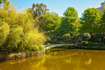 Obraz premium Beautiful wooden suspension bridge over a calm pond surrounded by lush green trees and dense bamboo thickets in a public city park. Batumi, Georgia