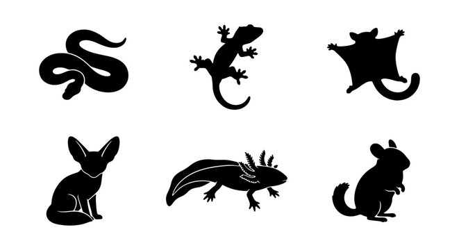 Exotic Pet Silhouettes: Reptile, Amphibian, Mammal Icons, Vector Set for Wildlife and Zoo Graphics