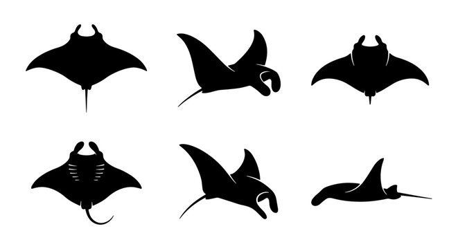 Manta Ray Silhouettes, Ocean Wildlife Icons, Marine Animal Vector Graphics, Aquatic Life Set
