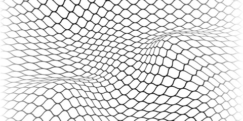 Fishing or soccer net. Repeated hexagon pattern. Black wired mesh texture isolated on white background. Metallic or fabric fence, cage or lattice structure. Vector graphic Illustration. © laily