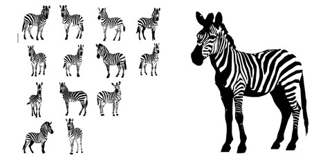 Zebra Standing Icon © PRO_ED