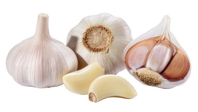Isolated fresh whole garlic bulbs and peeled cloves, aromatic natural cooking ingredient
