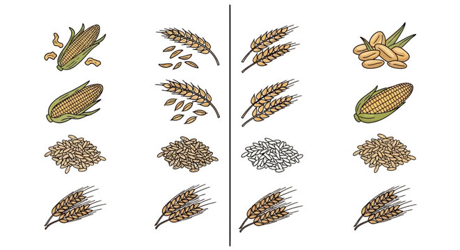 Variety of seeds and grains displayed.