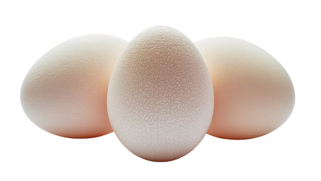 Isolated trio of large textured natural ostrich eggs, giant avian poultry food object.