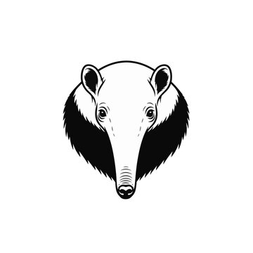 Black and white vector illustration of a giant anteater head isolated on a white background. Front view of an exotic South American animal mascot logo design for nature branding.