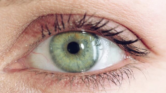 Eyelash, mascara and face with eye of woman for makeup, cosmetics and self care closeup. Cosmetology, blink and lash extensions with female person for vision, beauty aesthetic and salon treatment