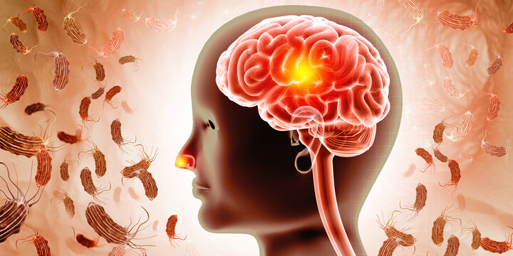 Visual concept of deadly brain-eating amoeba infection. 3d illustration