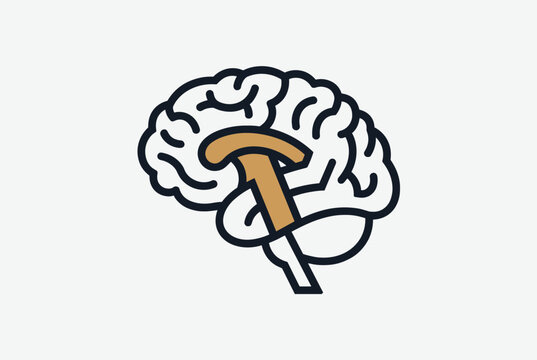 Human brain illustration highlights the brainstem area in orange to indicate its position and importance within the organ.
