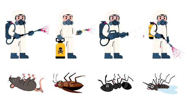 Pest control workers and dead insects vector set