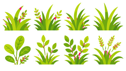 Set of green grass and leafy plant elements in flat vector style © Alan
