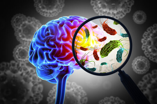 Visual concept of deadly brain-eating amoeba infection. 3d illustration