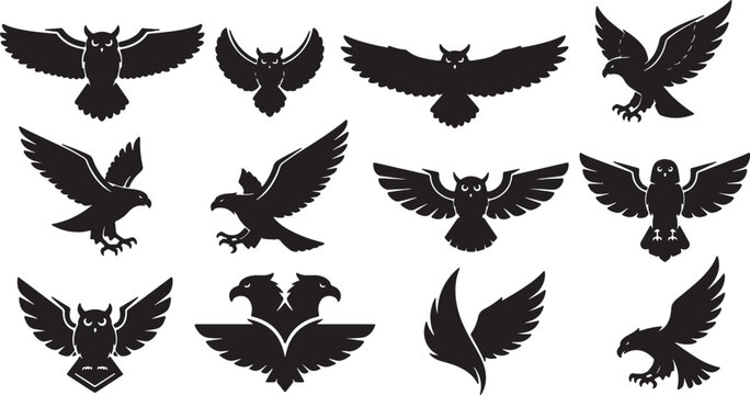 Silhouette Collection of Owls, Eagles, and Hawks in Various Flight Poses; Black Vector Bird of Prey Icons with Wings Spread Isolated on White Background for Logo Design and Graphics