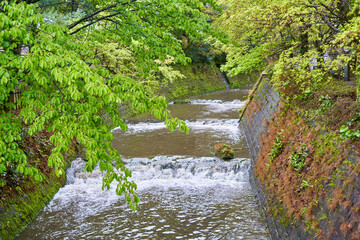 A scenic view of a river flowing through a stone-lined canal surrounded by lush green vegetation. The water creates small cascades and white rapids as it moves downstream between moss-covered stone © Andrius