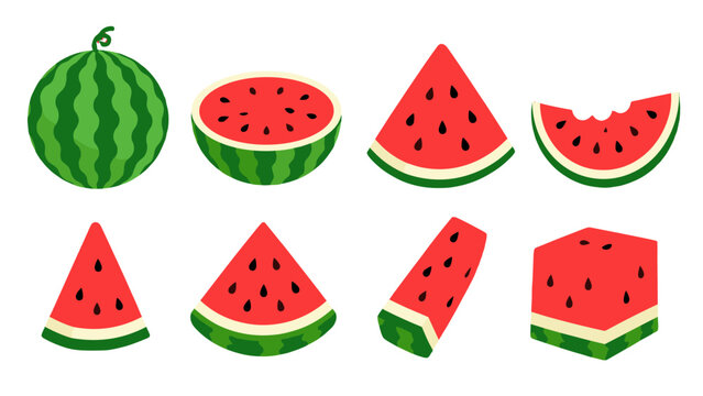 Set of watermelon fruit slices and whole melon vector icons